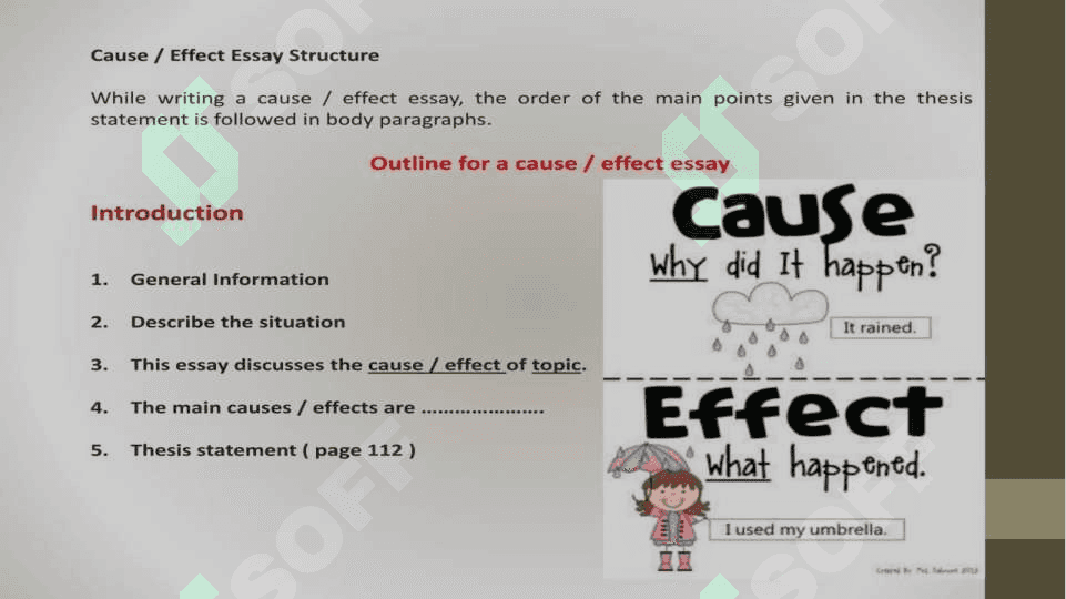 cause and effect essay 3