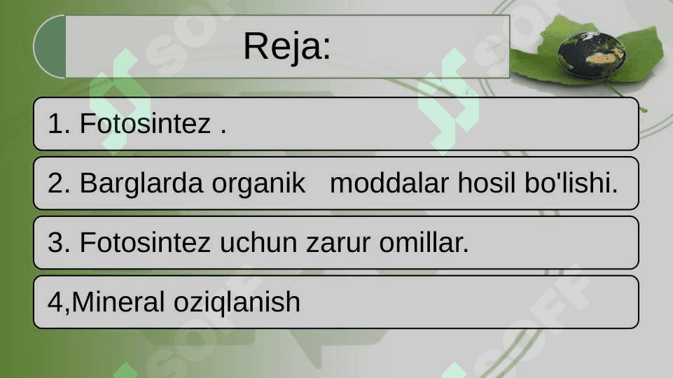 O’SIMLIKLARDA FOTOSINTEZ VA MINERAL OZIQLANISHNI O’RGANISH 2
