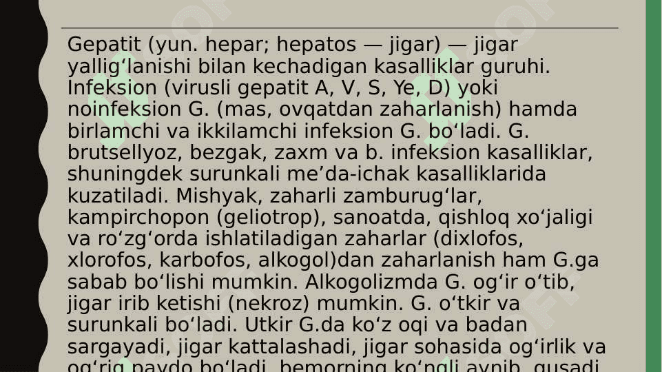 Infeksion gepatitlarni qo’zg’atuvchi viruslar 2