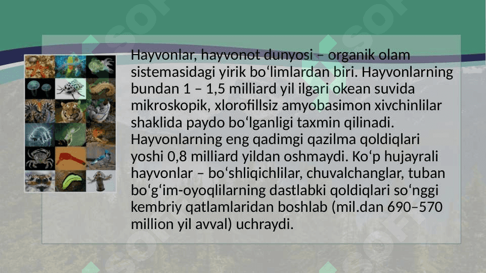 Hayvonlarning tuzilishi va klassifikatsiyasi 2