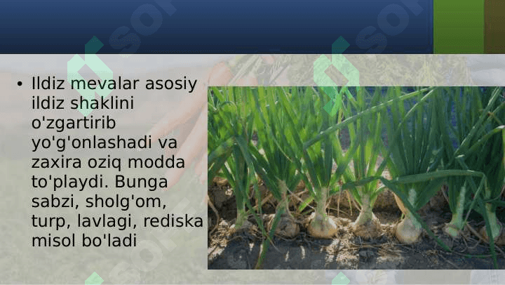 SHAKLI  O‘ZGARGAN ILDIZLAR 3
