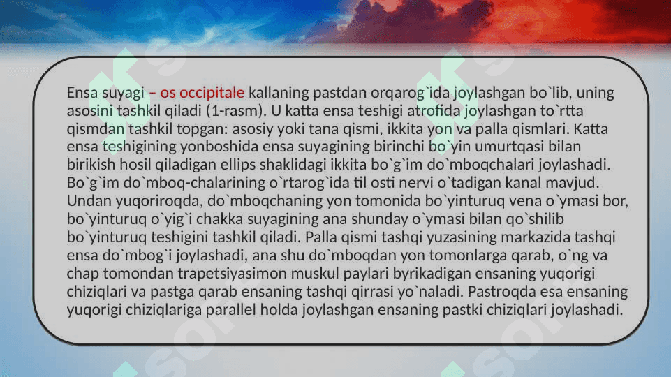 Kalla suyagi 3
