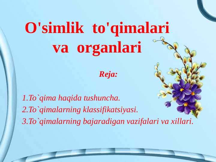 O'simlik  to'qimalari va  organlari