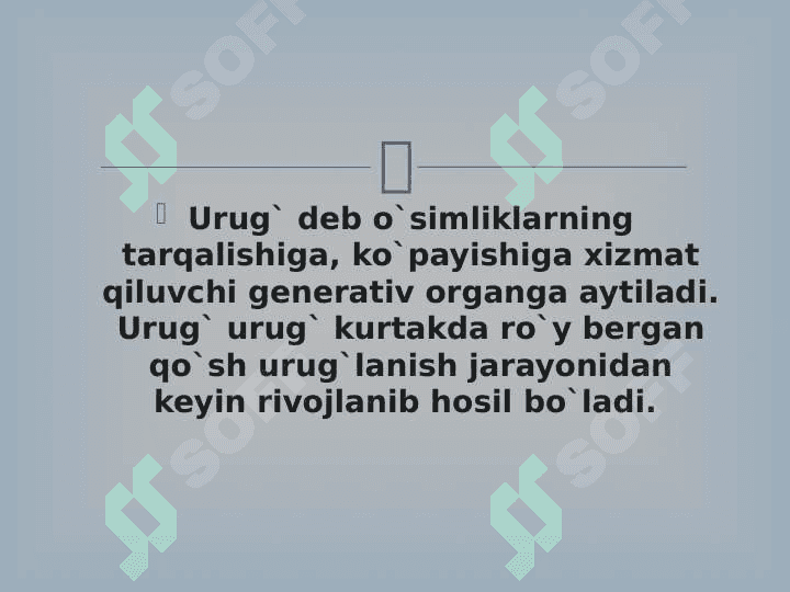 URUG’ 3
