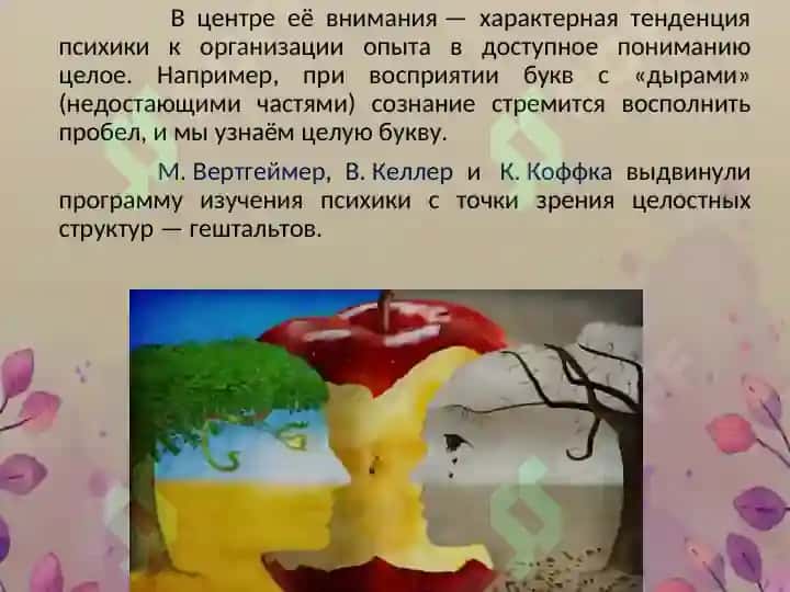 Гештальтпсихология 4