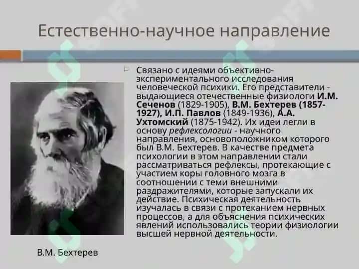 Основные направления и школы отечетсвенной психологии 4