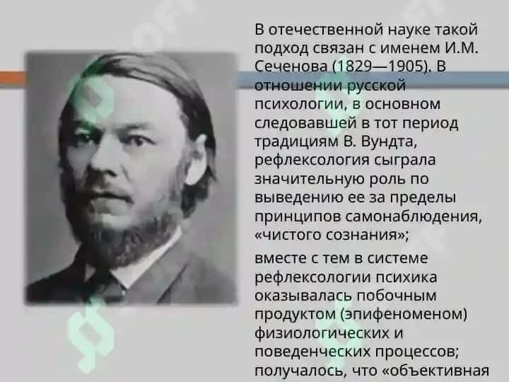 Основные направления и школы отечетсвенной психологии 6
