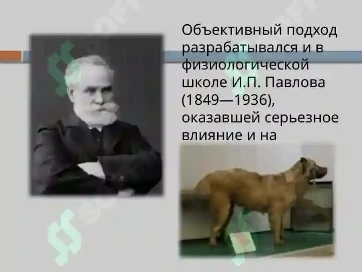 Основные направления и школы отечетсвенной психологии 7