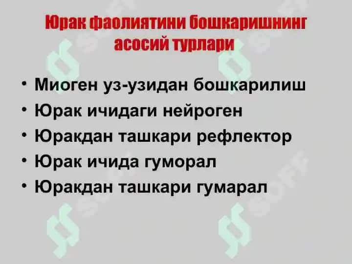 Yu'rak faoliyatini boshqarilishi 3