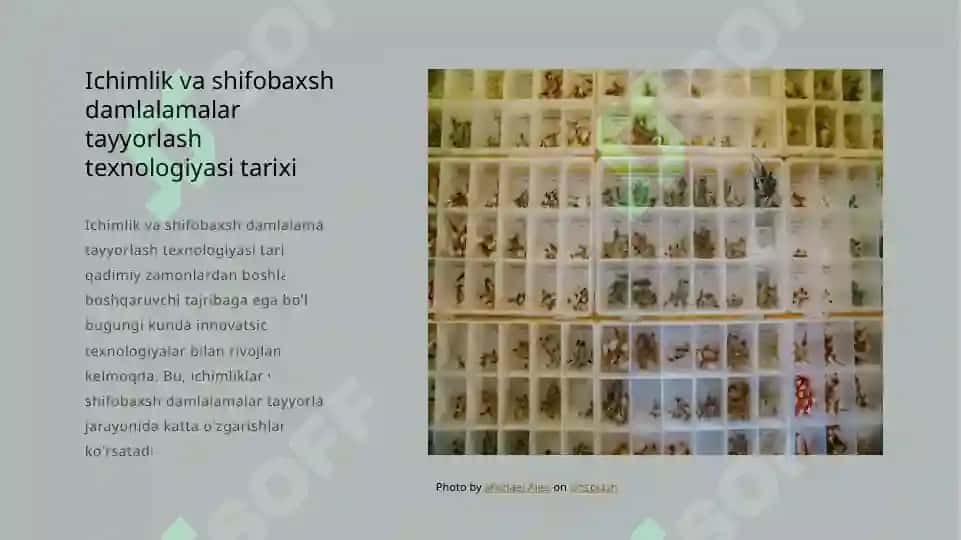 Issiq ichimlik va shifobaxsh damlamalarni tayyorlash texnologiyasi 4