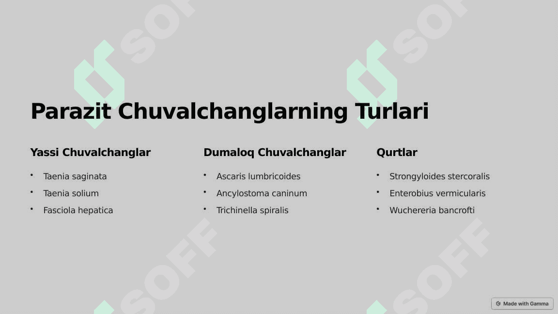 Parazit chuvalchanglar 4