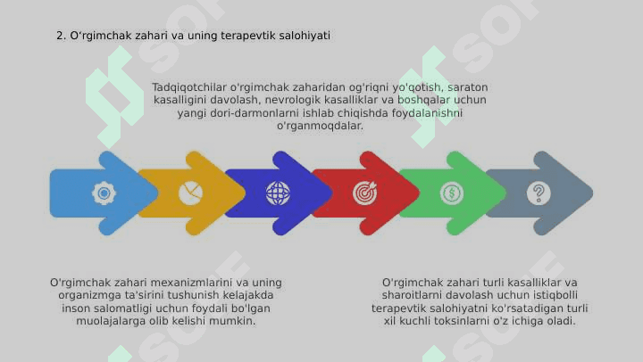 Tibbiyotda ahamiyatga ega bo'lgan o'rgimchaklar 4