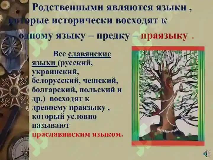 Место русского языка в кругу родственных словянский языков.литературный язык как высшая форма национального языка 3