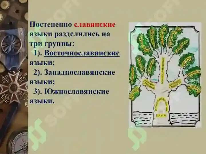 Место русского языка в кругу родственных словянский языков.литературный язык как высшая форма национального языка 5
