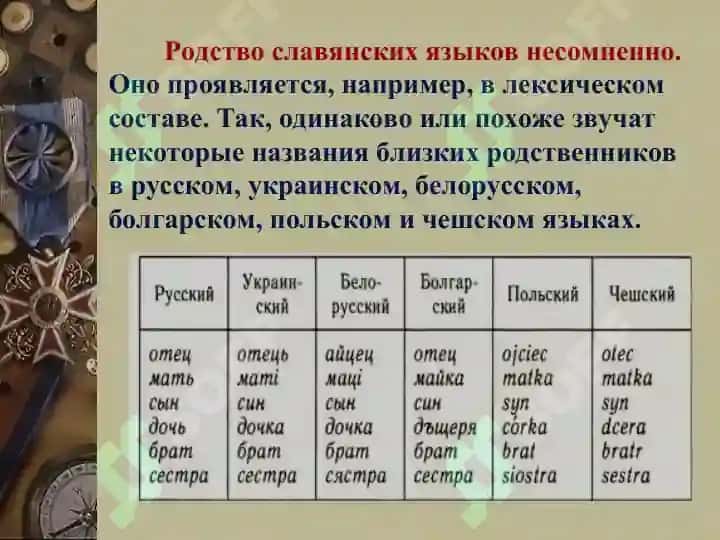 Место русского языка в кругу родственных словянский языков.литературный язык как высшая форма национального языка 7