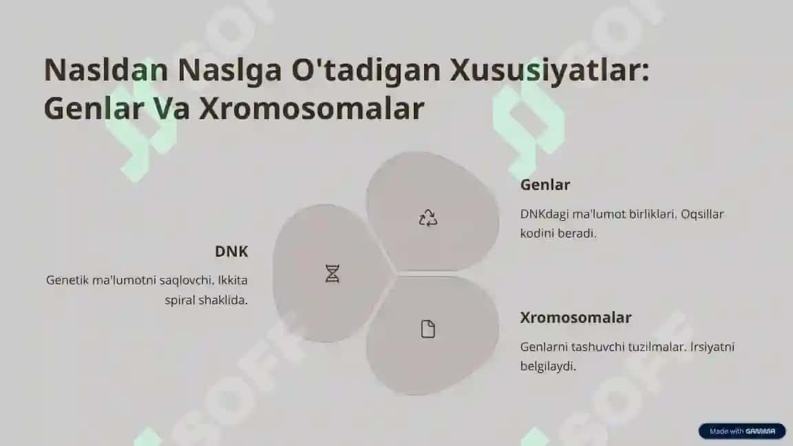 Odamlarning Xulq-atvorining Genetik Asoslari 3