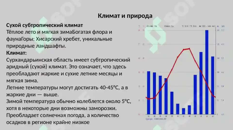 Моя Сурхандарья 4
