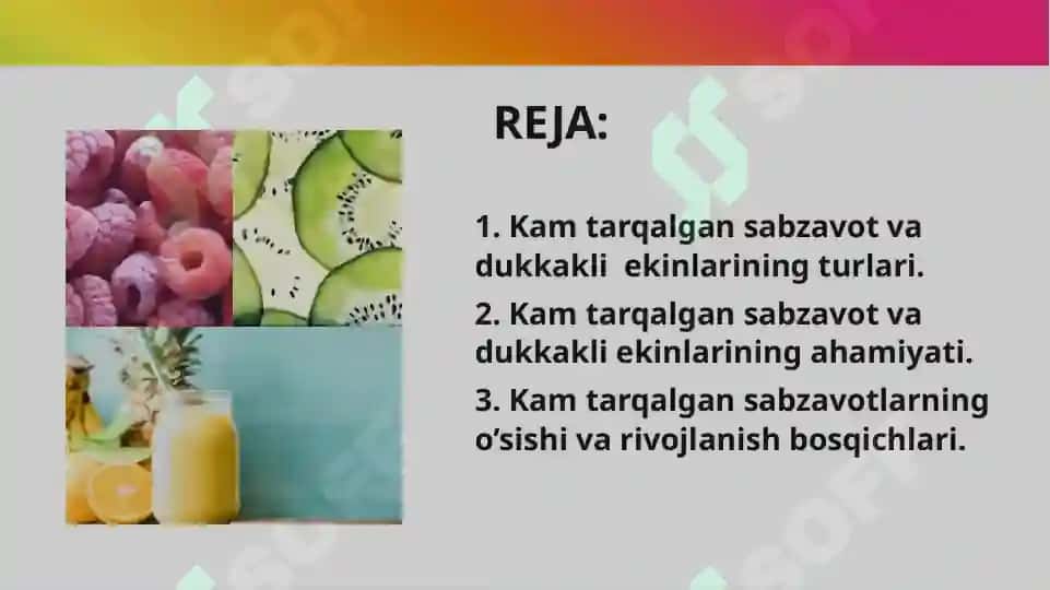 KAM TARQALGAN KO'KAT VA DUKKAKLI SABZAVOT EKINLARINING BOTANIK OILASI 2