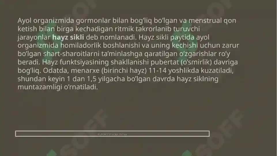 Normal hayz sikli 2