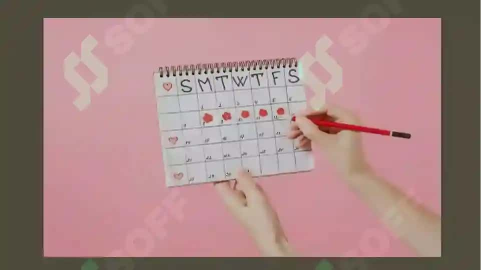 Normal hayz sikli 3
