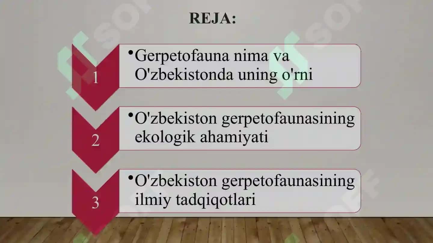 O'zbekiston Gerpetofaunasiga umumiy tavsif: Faunasi, Tarqalishi va Ahamiyati 2
