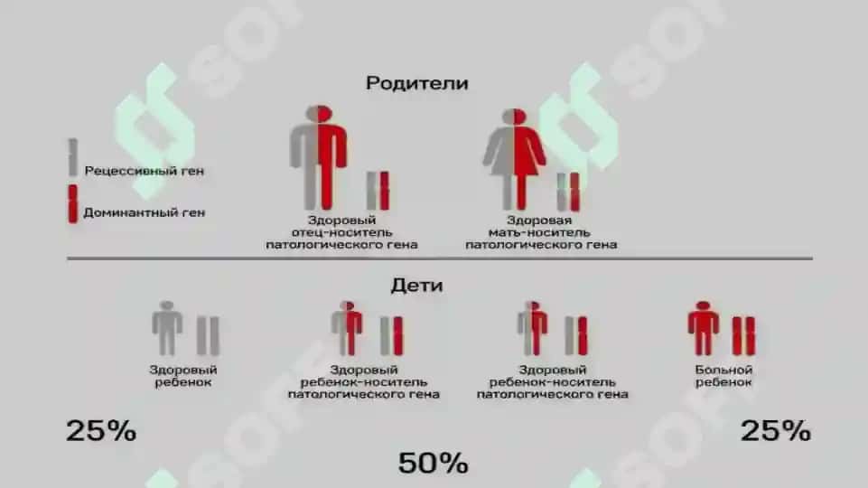 mukovissidoz 8