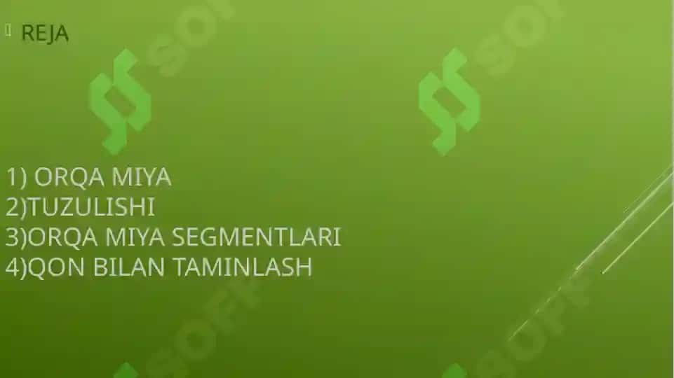 ORQA MIYA.TUZULISHI VA O’TKAZUVCHI TIZIMLARI 2
