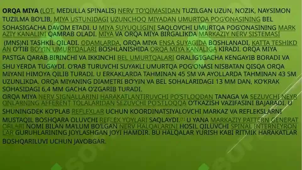 ORQA MIYA.TUZULISHI VA O’TKAZUVCHI TIZIMLARI 3
