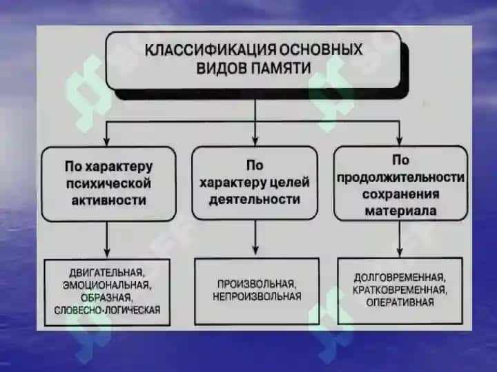 Методика воспитательная и развития памяти в студенческие годы 7