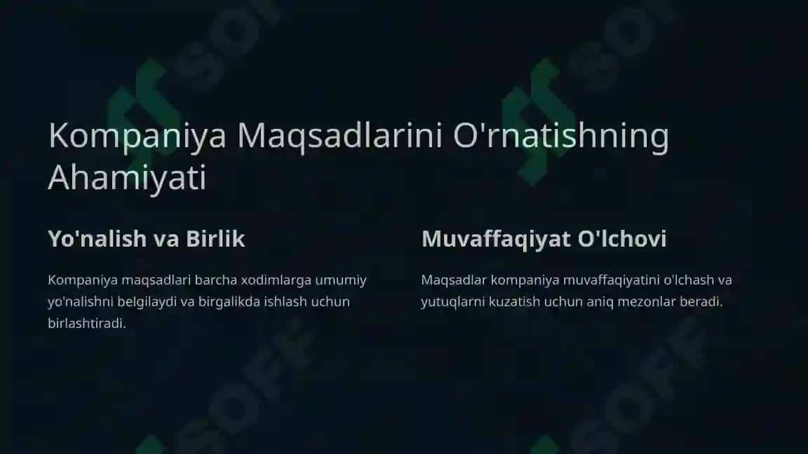 Kompaniya maqsadlarini belgilash 2