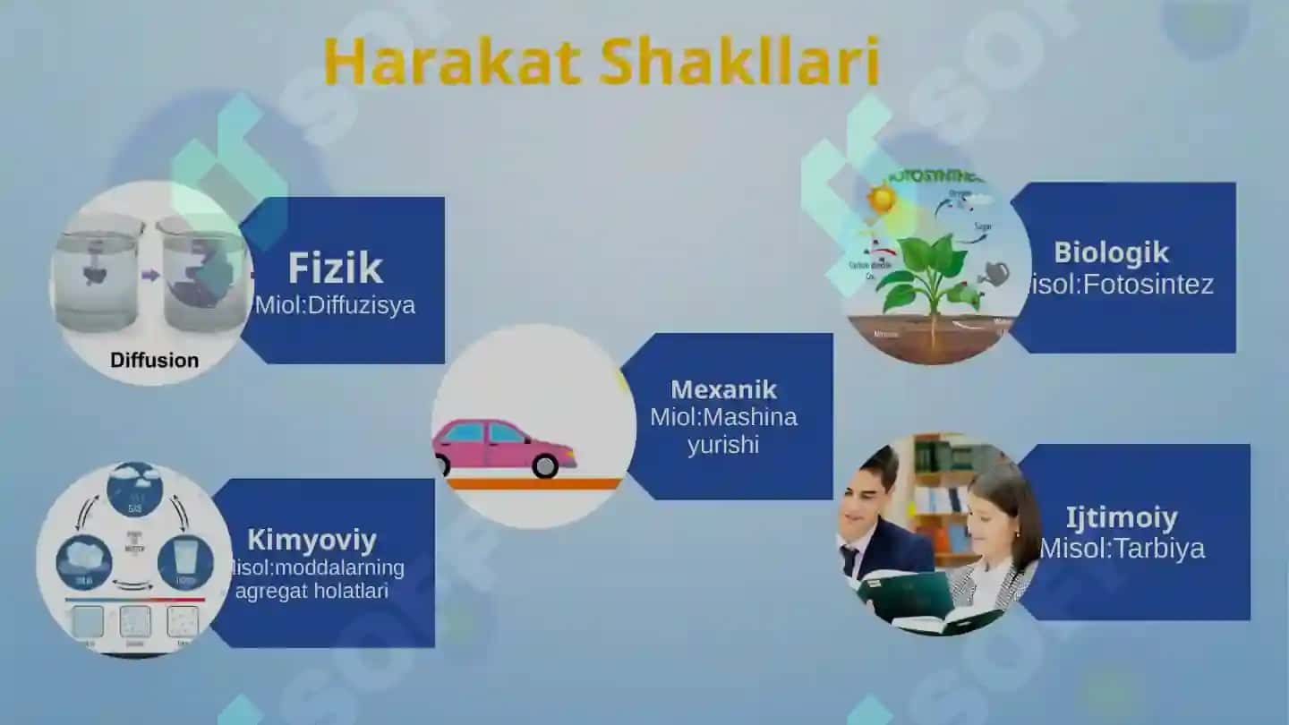 Ong falsafasi 6