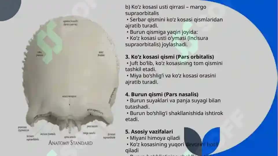 kalla suyaklari 4