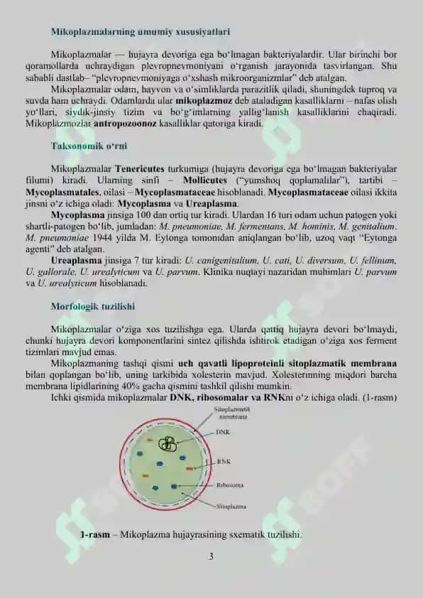 Mikoplazmoz va ureaplazmoz 3