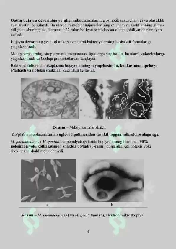 Mikoplazmoz va ureaplazmoz 4