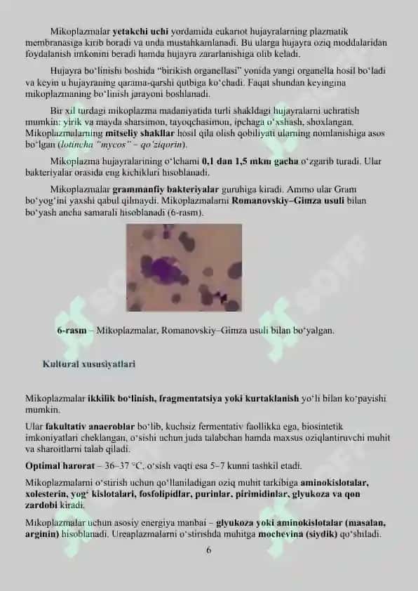 Mikoplazmoz va ureaplazmoz 6