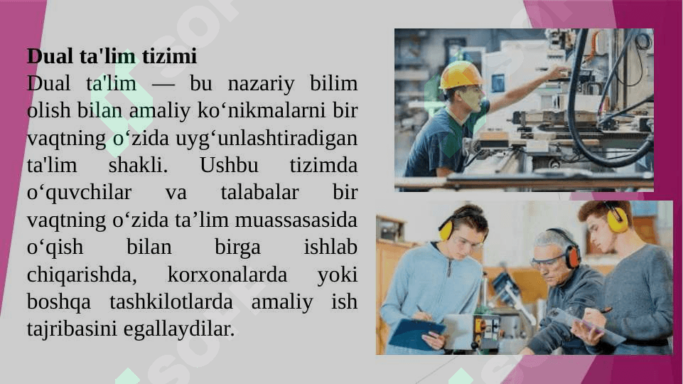 Dual ta'lim 2