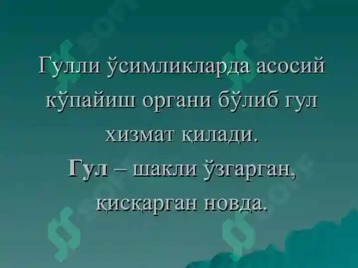 Gulning tuzilishi taqdimot 3