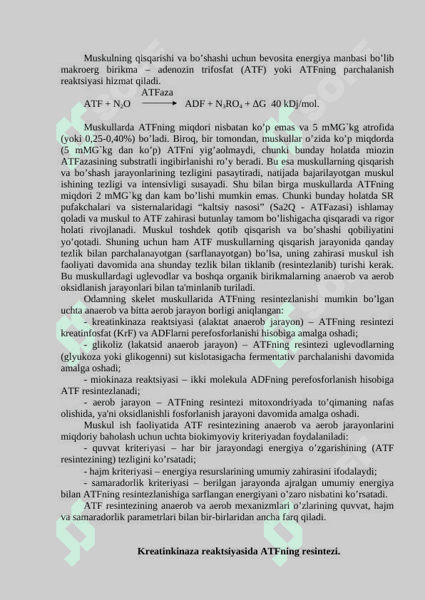 Muskul ish faoliyatidagi bioenеrgеtik jarayonlar. 2