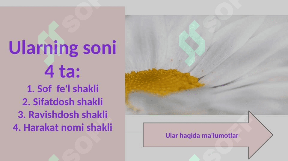 Fe'lning vazifa shakllari 3