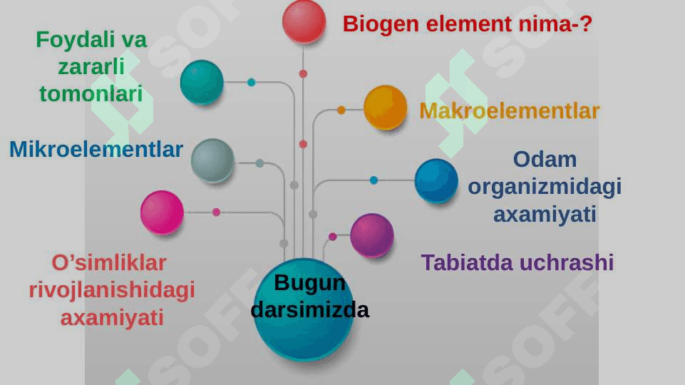 Biogen elementlar va ularning tirik organizmlardagi ahamiyati. 3