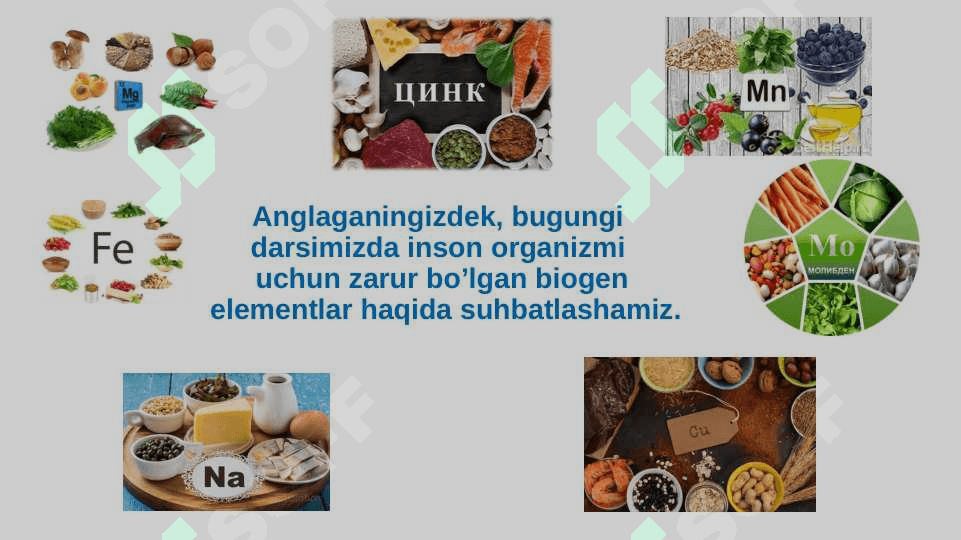 Biogen elementlar va ularning tirik organizmlardagi ahamiyati. 4