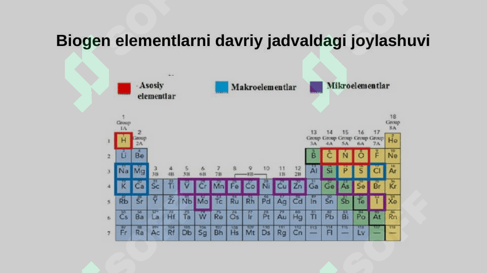 Biogen elementlar va ularning tirik organizmlardagi ahamiyati. 7