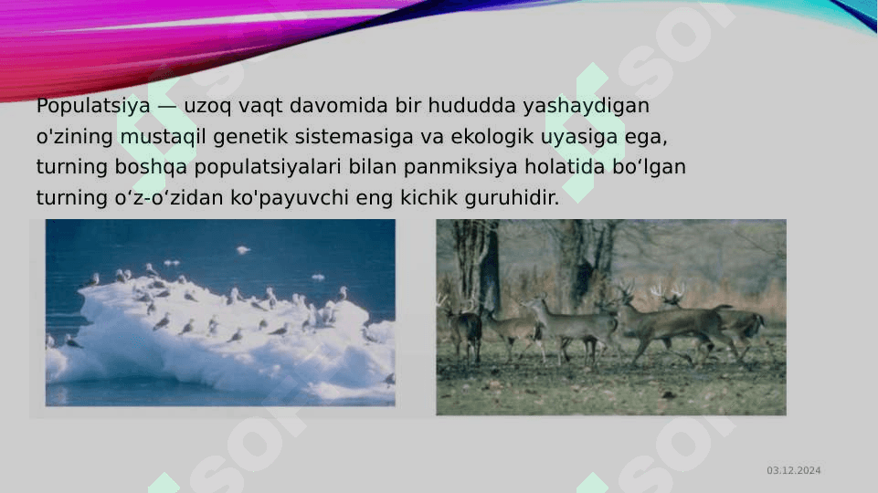 Populyatsiya. Tur. Evolyutsiyani elementar omillari 7