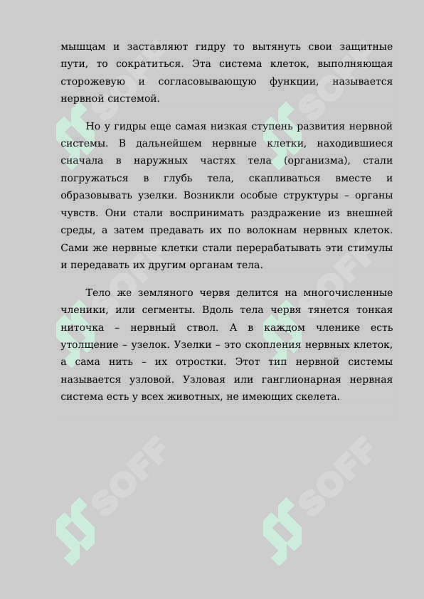 ИСТОРИЯ РАЗВИТИЯ ПРЕДСТАВЛЕНИЙ О ЦЕНТРАЛЬНОЙ НЕРВНОЙ СИСТЕМЕ 3