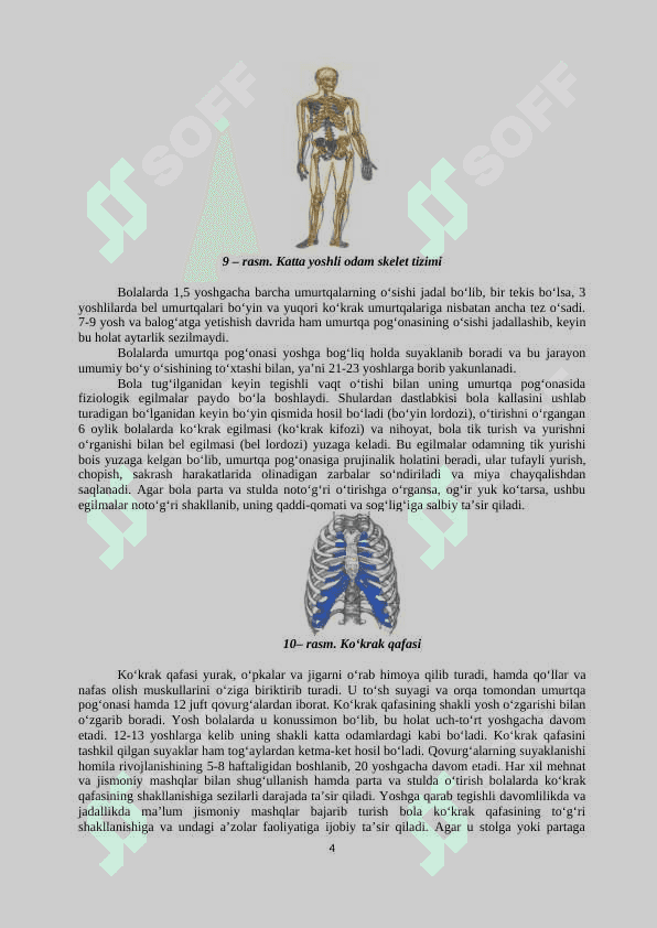 Tayanch harakat apparatining tuzilmasi 4