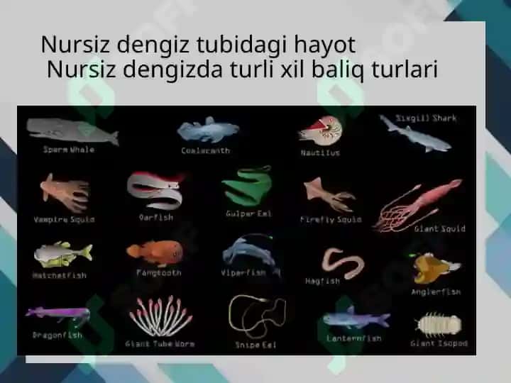 Barcha davrlarning eng ajoyib geografik kashfiyotlaridan 10 tasi 3