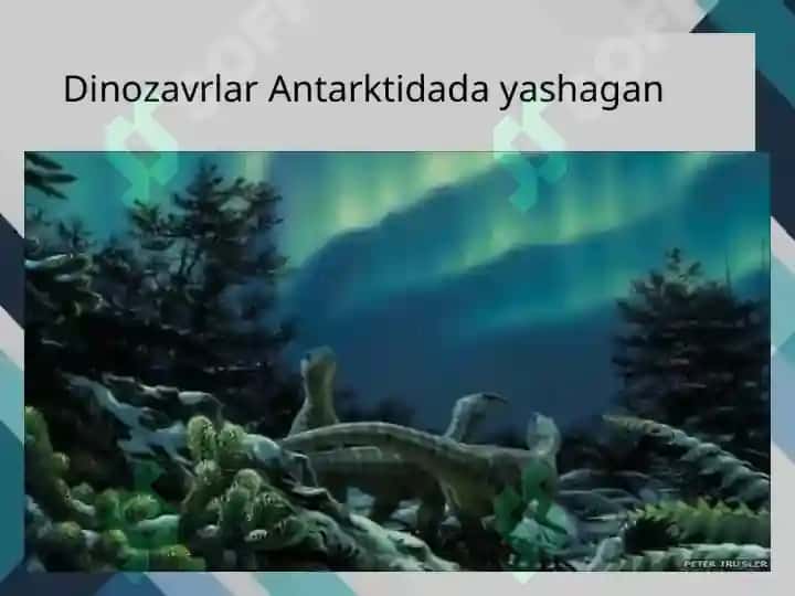 Barcha davrlarning eng ajoyib geografik kashfiyotlaridan 10 tasi 5