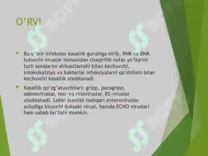 O’RVI 3