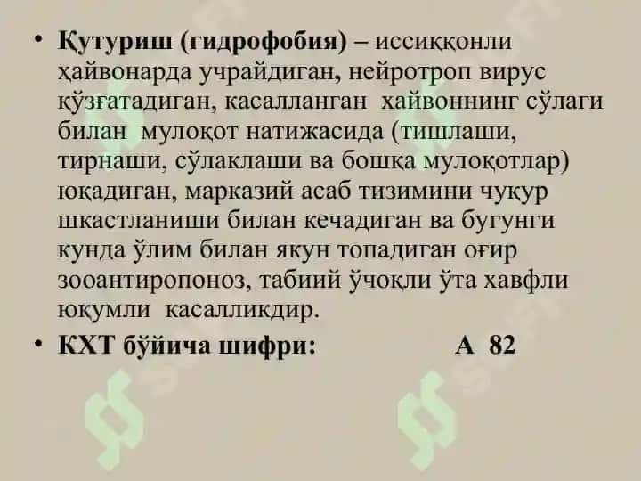 Қутуриш Касаллиги 3