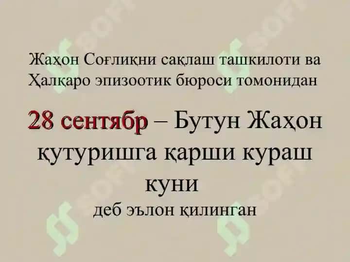 Қутуриш Касаллиги 5